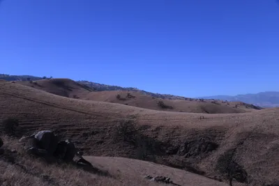 DSC_2177 (Large).JPG